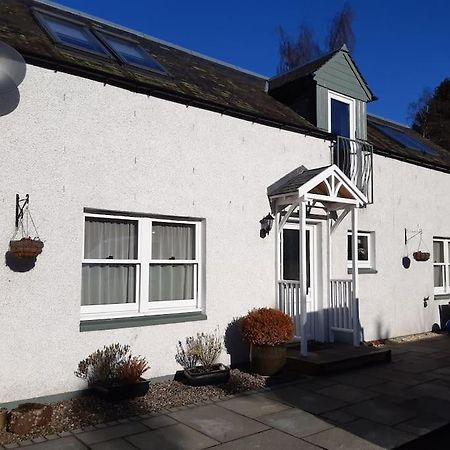 Pinewood Cotage - Country Walks And Relaxation Villa Blairgowrie and Rattray Kültér fotó